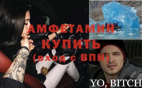 дмт Богданович