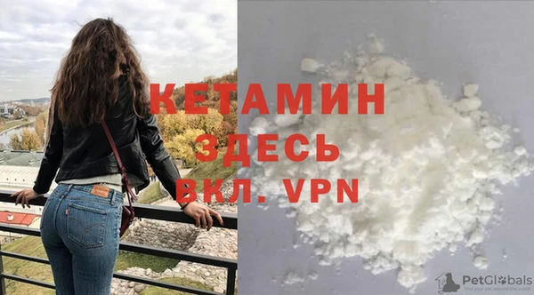 дмт Богданович